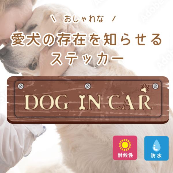 ؖ  DOG IN CAR  XebJ[ V[   Ă܂  IV  킢 ʔ