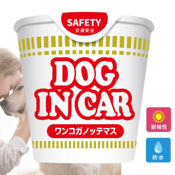  dog in car  XebJ[ V[  R  Ă܂ ܂ ʔ pfB  IV   킢