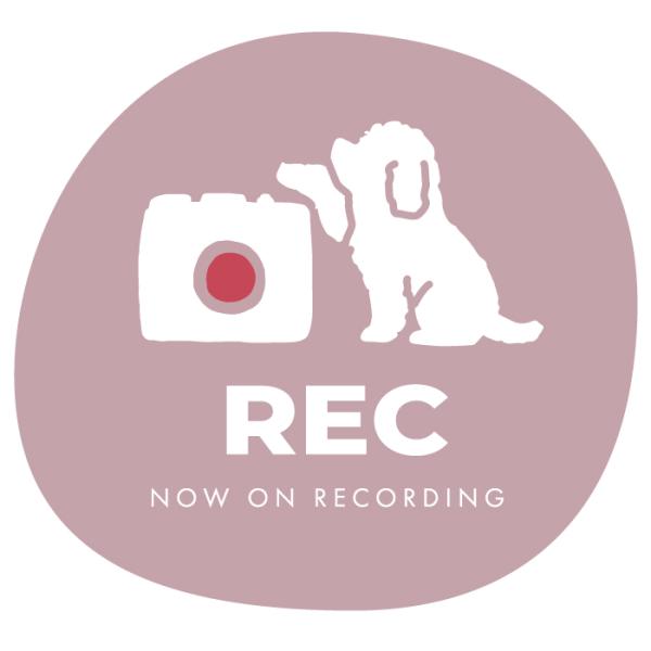 groovys_sticker-2053_2_d_20240213191034