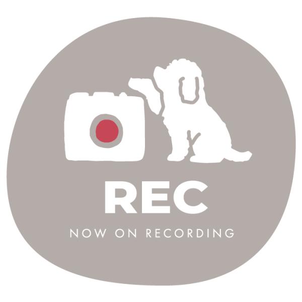 groovys_sticker-2053_3_d_20240213191034