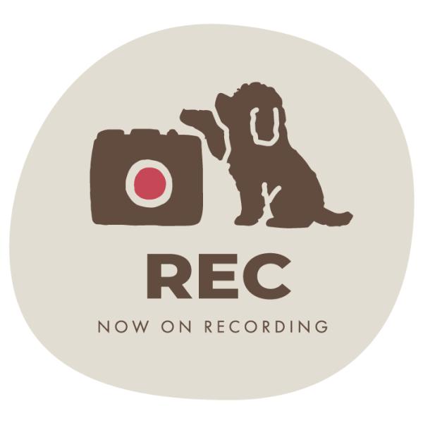 groovys_sticker-2053_4_d_20240213191035