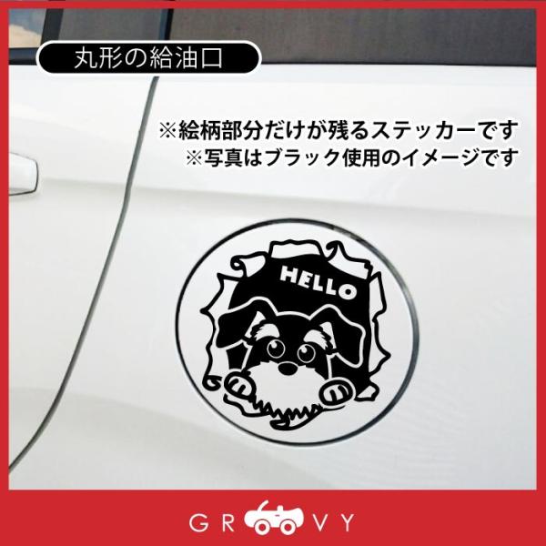 groovys_sticker-3355_3_d_20240213174454