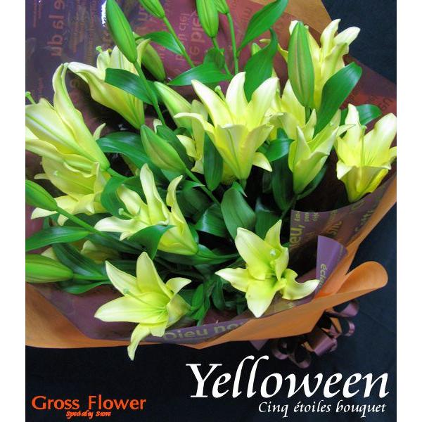 イエローウィン ユリ 5本 輪以上 Yello Ween Cinq E Toile Bouquet ５エトワルブーケ Buyee Buyee Japanese Proxy Service Buy From Japan Bot Online