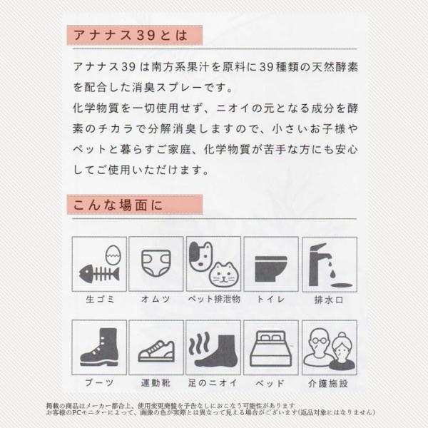 今月限定 特別大特価 Ga き ガンボトル 10本セット アナナス39 消臭スプレー Ananas39 男性の油臭にも 無害な自然由来成分 無香料 代引不可 Zoetalentsolutions Com