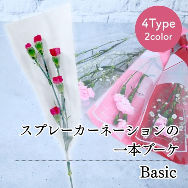 花 卒園 卒業  スプレーカーネーションの一本 ブーケ  4type 2color 花 1輪 1本 一輪 一本 1輪の花 花束 花言葉 意味 熱心 感動 あたたかい心 スプレーカーネーション 赤 ピンク 生花 切り花 切花 卒園式 卒業式 ...