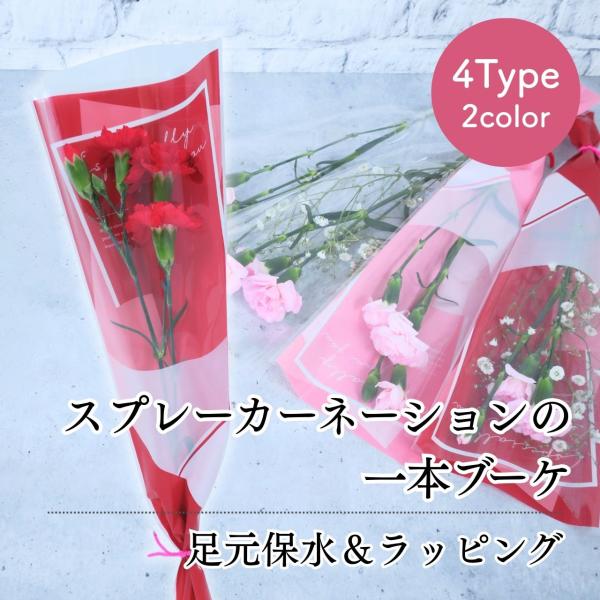 花  卒園 卒業 スプレーカーネーションの一本 ブーケ  4type 2color 花 1輪 1本 一輪 一本 1輪の花 花束 花言葉 意味 熱心 感動 あたたかい心 スプレーカーネーション 赤 ピンク 生花 切り花 切花 卒園式 卒業式 ...