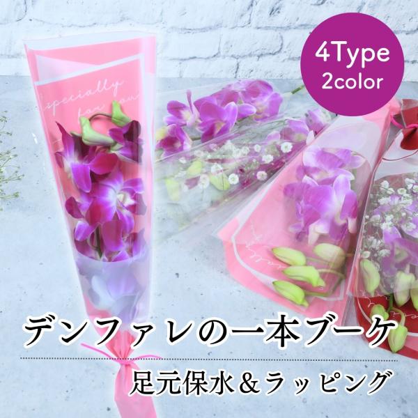花  卒園 卒業 デンファレの一本 ブーケ 4type 花 1輪 1本 一輪 一本 1輪の花 花束 ラッピング 保水キャップ付き 花言葉 意味 美人 華やか 思いやり デンファレ 紫 パープル 生花 切り花 切花 卒園式 卒業式 成人式 通...