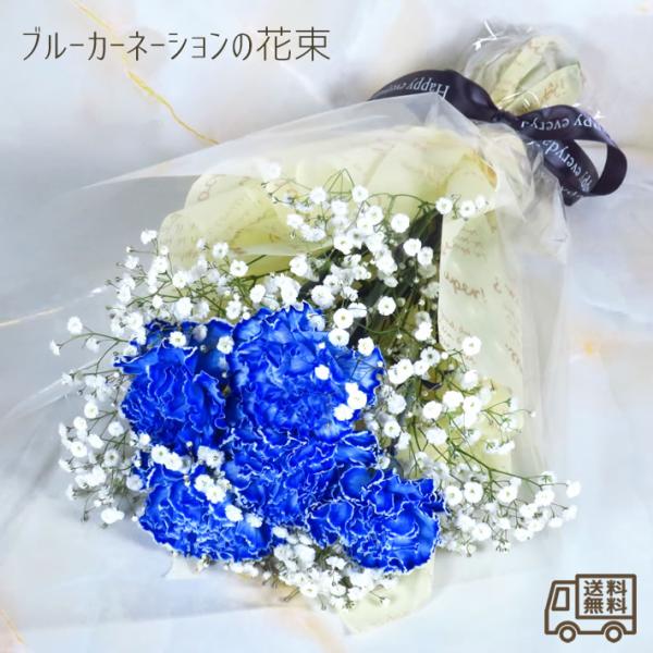 花束 誕生日  ギフト ブルーカーネーションの花束 青いカーネーション 青 染め 花 青い花束 カーネーション かすみ草 カスミソウ ハイブリットスターチス 生花 花束 ブーケ 誕生日 還暦 古希 結婚記念日 周年 祝い お見舞い 退院祝い...