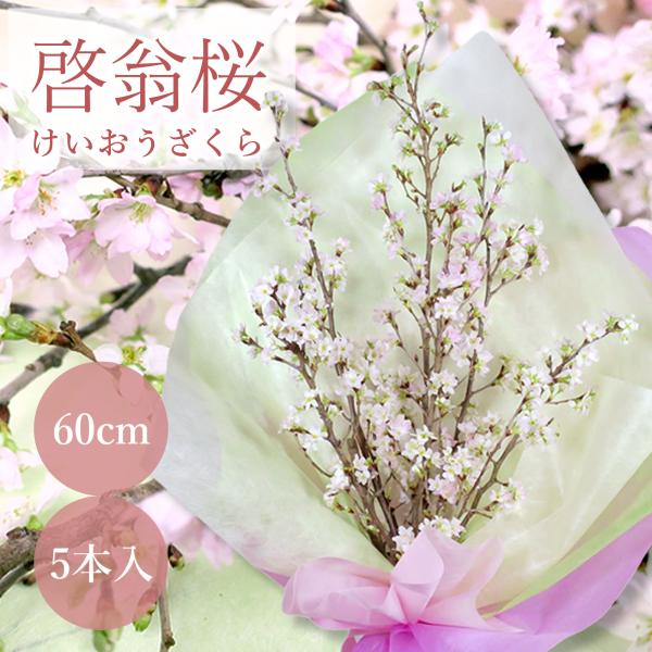 啓翁桜の花束 花 ギフト 送料無料 桜 花 花束 啓翁桜 生花 花束 ブーケ 季節限定 早咲き 1月 2月 春のお花 生け花  /FGP
