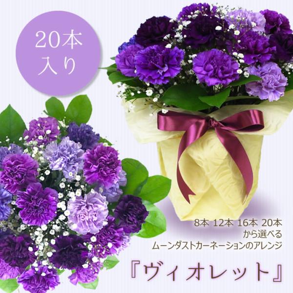 花 誕生日 ムーンダスト ヴィオレット 20本入り アレンジメント ギフト プレゼント 青 カーネーション 希少 紫 生花 記念日 父の日 そのまま飾れる 爆買