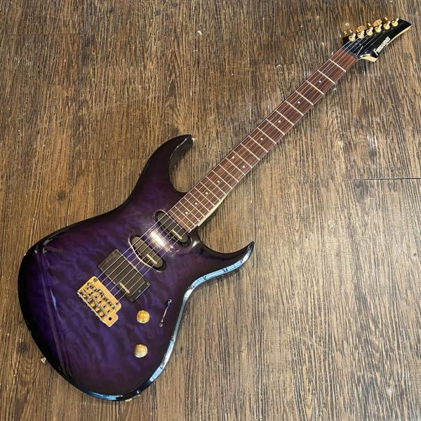 FERNANDES（フェルナンデス） Fernandes FGZ-400 Electric Guitar