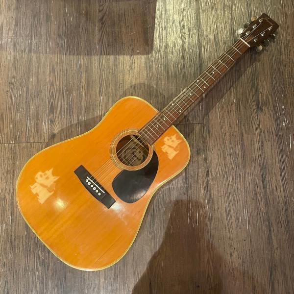 Jagard JD-20 Acoustic Guitar アコースティックギター ジャガード