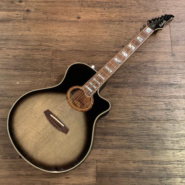 SAMICK GR-1999DE アコースティックギター　エレアコ SAMICK GR-1999DE アコースティックギター エレアコ green1999