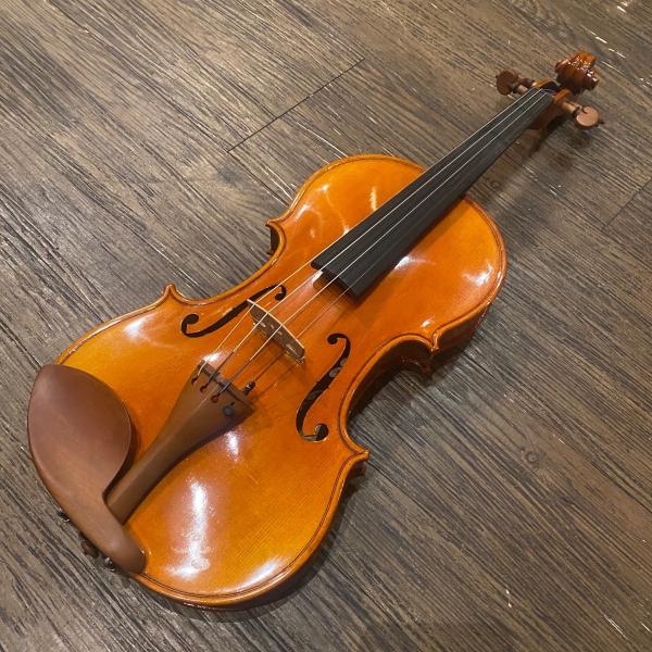 Carlo giordano VS-2 4/4 Violin カルロジョルダーノ バイオリン