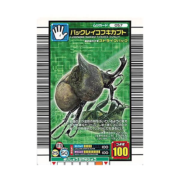 甲虫王者ムシキング 057 バックレイコフキカブト 2006ファースト 甲虫王者ムシキング 057 バックレイコフキカブト 2006ファースト