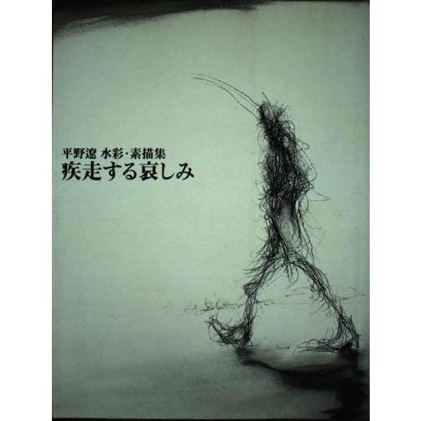 疾走する哀しみ?平野遼水彩・素描集 (Switch library)