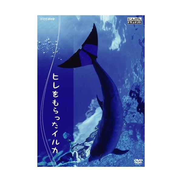 （中古品）にんげんドキュメント ヒレをもらったイルカ DVD商品写真はサンプル写真となっております。写真の商品が届くわけでは御座いません。用途機能として最低限の付属品はお送りいたしますが取扱説明書、リモコン等含まれていない場合もございます。...
