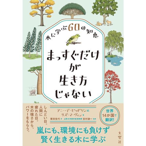 （中古品）まっすぐだけが生き方じゃない 木に学ぶ60の知恵商品写真はサンプル写真となっております。写真の商品が届くわけでは御座いません。用途機能として最低限の付属品はお送りいたしますが取扱説明書、リモコン等含まれていない場合もございます。＊...