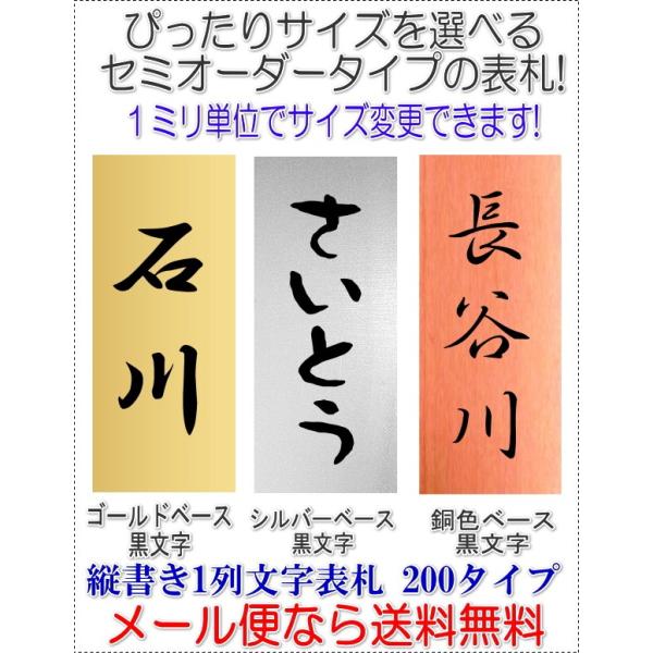 サイズ変更できるアクリル長方形表札一列L200タテ文字金銀銅黒文字