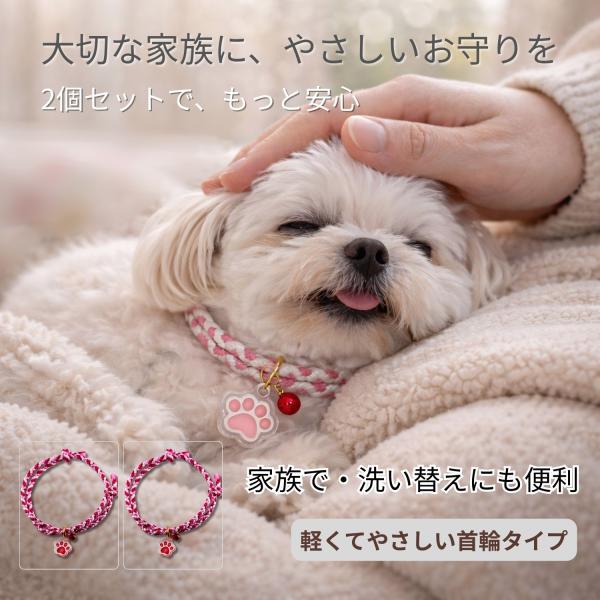 ペット お守り 首輪タイプ 2個セット 犬 猫 肉球ネームプレート付き 編み紐 交通安全 健康長寿 サイズ調整可 まとめ買い ギフト