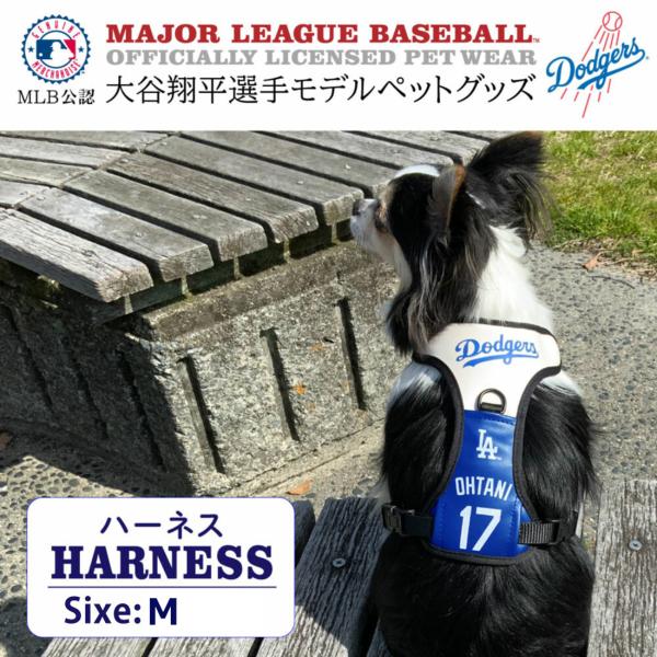 FANTASY WORLD（ファンタジーワールド） 大谷翔平選手モデル 犬用