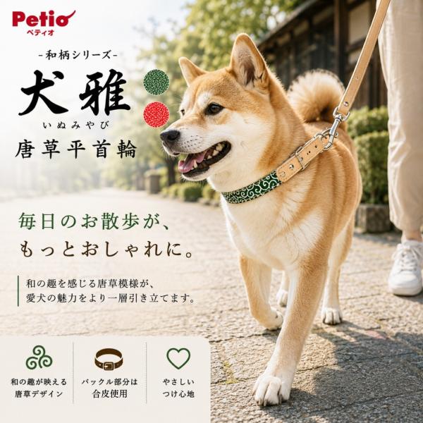 �� ��� ���^�� ���� ����� S�T�C�Y ����23�`33cm 10kg�ȉ� ���� �a�� ���b�h �O���[�� ���킢�� �Č� �V�[�Y�[ �L���o���A �p�O �y�e�B�I ���� ���i�摜2