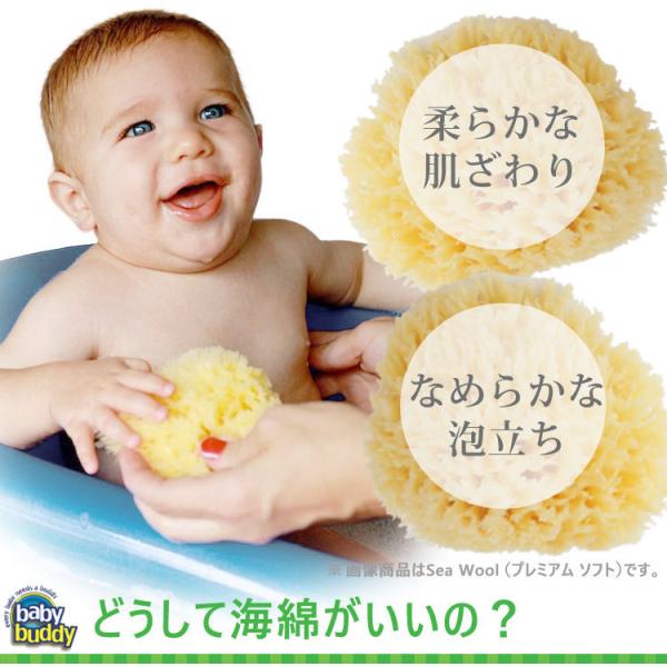 ベビーバディ ナチュラル バス スポンジ Sea Wool プレミアムソフト 天然海綿スポンジ お風呂 ボディスポンジ 赤ちゃん バス アレルギー 敏感肌 Buyee Buyee 日本の通販商品 オークションの代理入札 代理購入