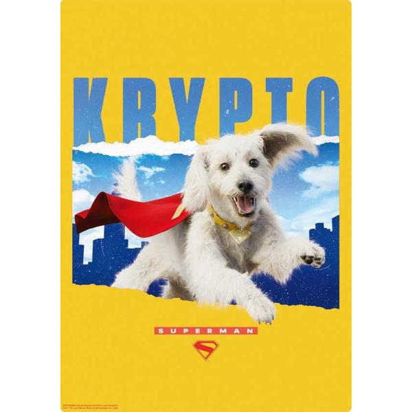 BJBEJGAJT　2025年7月10日登録　　【ネコポス発送のみ】　メーカー名：インロック　製品本体 サイズ：たて30cm　よこ21cm　奥行き0.1cm　A4サイズの透明なアクリル板に印刷されたポスターといった感じの商品です。　SUPE...