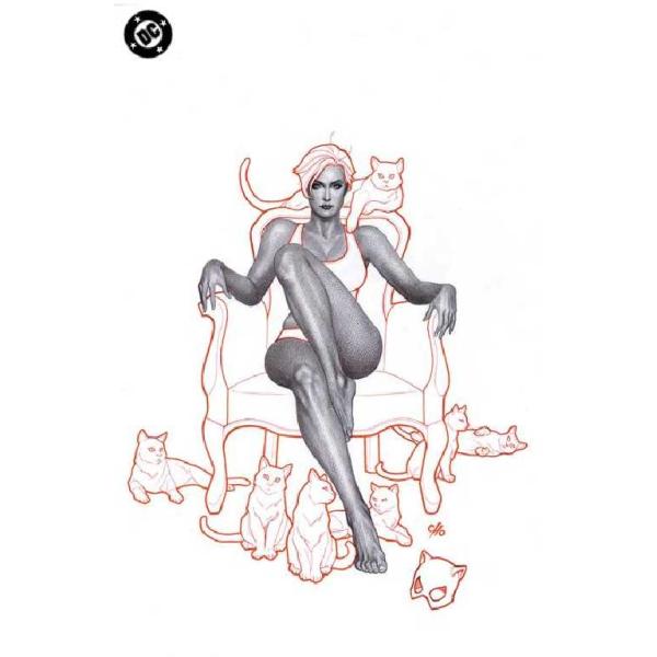 【ネコポスでの発送です】　BJBDAJAEC　2024-10-15 241012アメコミ アメリカン コミック　アメコミリーフ　アメコミ通販　出版社：DC コミック/DC COMICS　本体：たて26cm よこ17cm　輸入元：当社直輸入　...