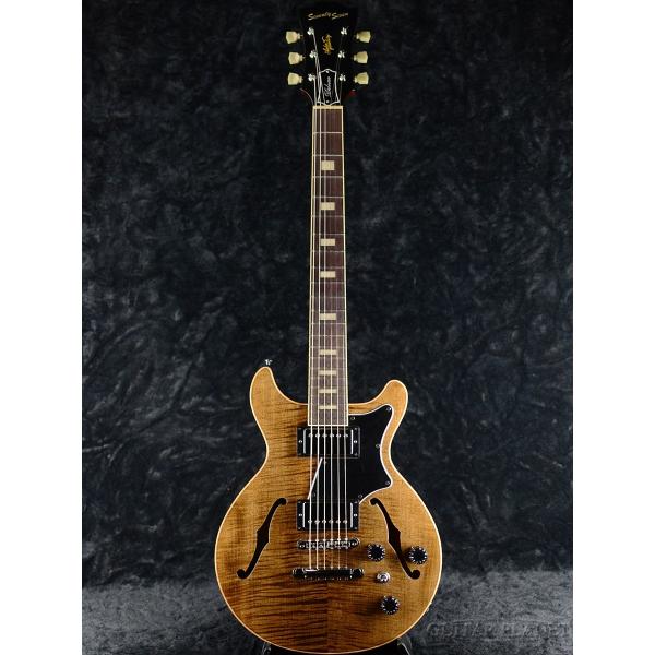 guitarplanet_77-alba-dx20-tbr