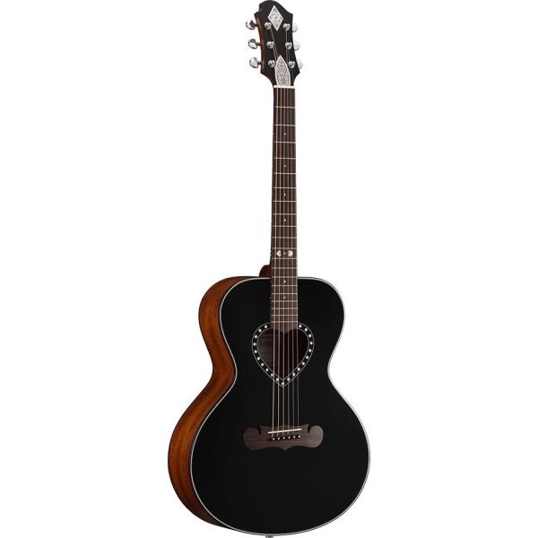 Zemaitis AAS-1000HPD-E -Black-《アコースティックギター》