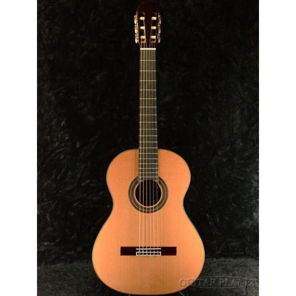 ARIA A-50C /[YEbh VisARMt