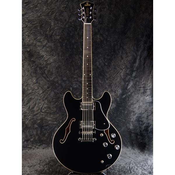 guitarplanet_aria-pro2-ta-
