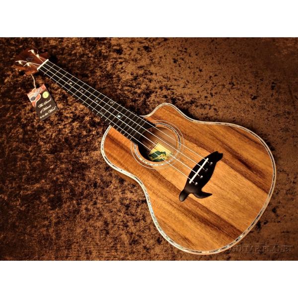 Big Island KX-TRCG ei[EN sENt