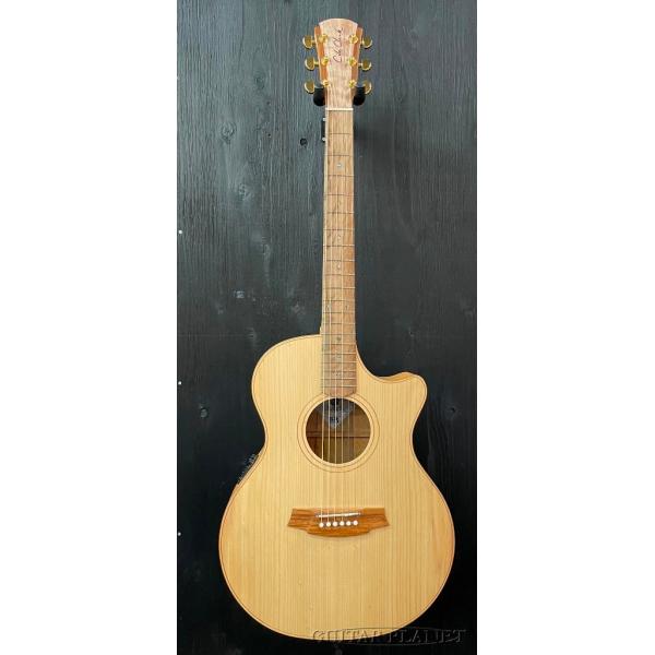 Cole Clark CCAN2EC-BSO ~Bunya×Southern Silky Oak~ #220615406