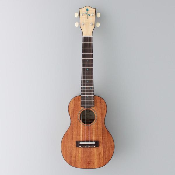 guitarplanet_fgn-fus-tc-lg
