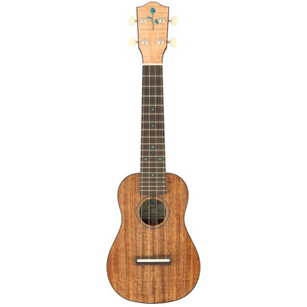 FgN(FUJIGEN) ~Standard Traditional Style~ FUS-TS \vmEN sENt