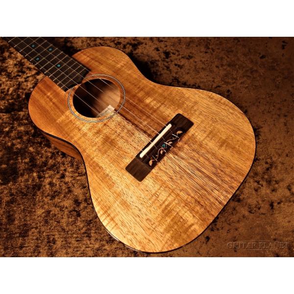 ynCARAzFGN FUS-TTsei[ENt