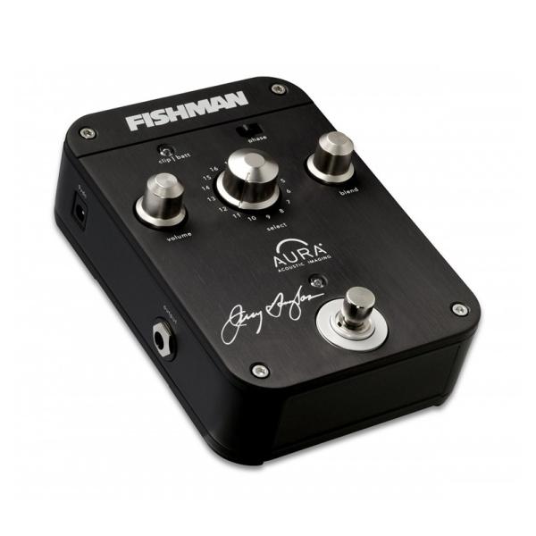guitarplanet_fishman-jerry-