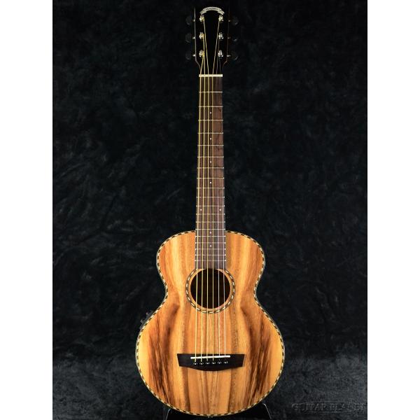 Headway HT-BEETLE アコースティックギター 生産終了　ジャンク品 guitarplanet_headway-uv-hb100-nt