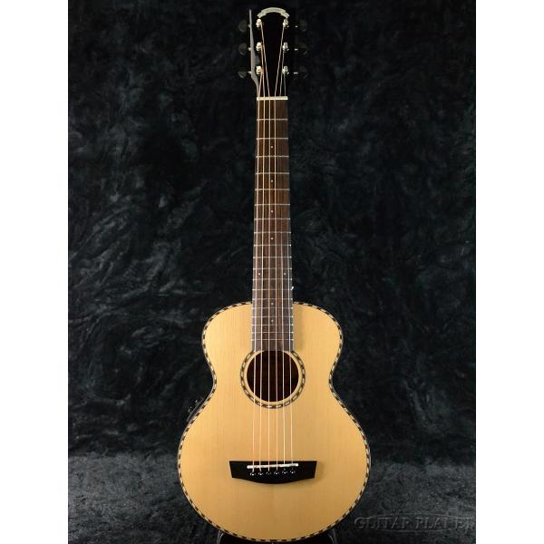 guitarplanet_ht-beetle-sp-na