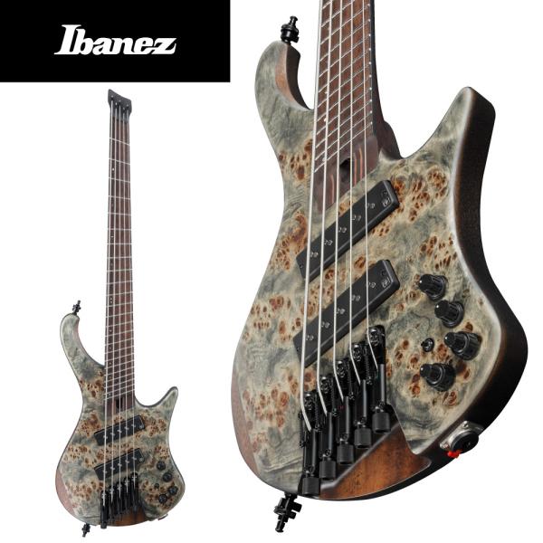 Ibanez 【限定生産モデル】Ibanez EHB1505MS -BIF (Black Ice
