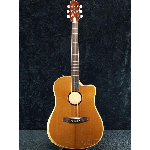 【初回は1本のみ入荷!!】L.R.Baggs AEG-1 TOR(トリファイド・シトカ・スプルース) - 新品《エレアコ》【2025年2月中旬発売予定!!】