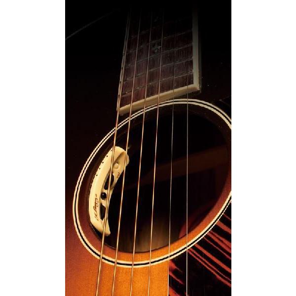 L.R.Baggs Anthem �f���A���s�b�N�A�b�v�V�X�e��