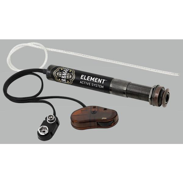 L.R.Baggs Element ARMpsG]sbNAbv