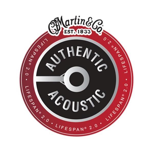 Martin MA535T Treated with Lifespan Phosphor Bronze Custom Light �t�H�X�t�@�[�u�����Y��