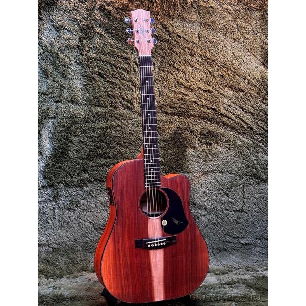 Maton EBW70C ~All Blackwood Series~ #9399 新品《エレアコ/アコギ