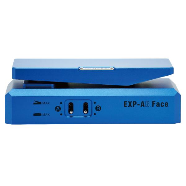 PAINT AUDIO EXP-AB Face : ギタープラネット Yahoo!ショップ - 通販