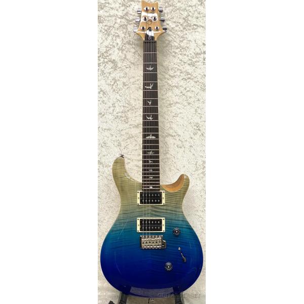 Paul Reed Smith（ポールリードスミス） Paul Reed Smith / SE Custom
