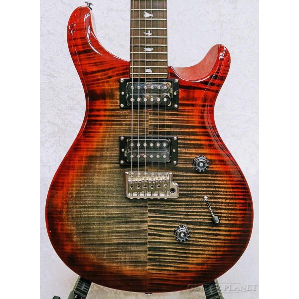 Paul Reed Smith（ポールリードスミス） Paul Reed Smith / SE Custom